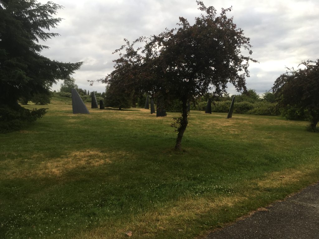 How Good is Swimming for Me?