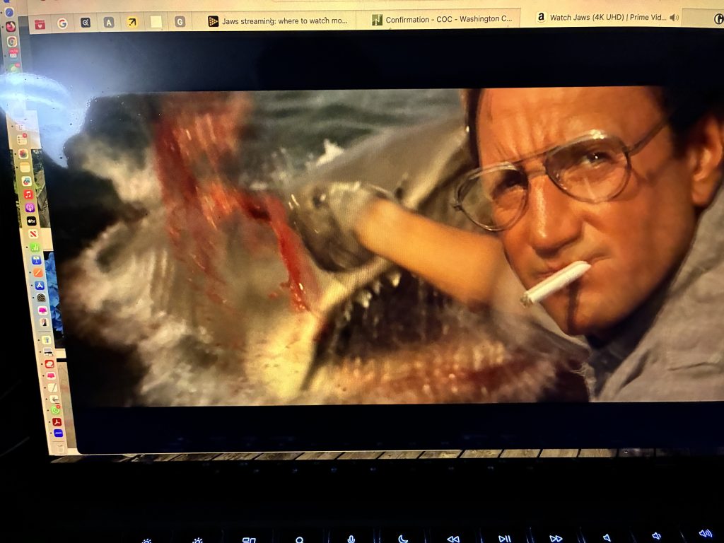 Today at the Lake: JAWS