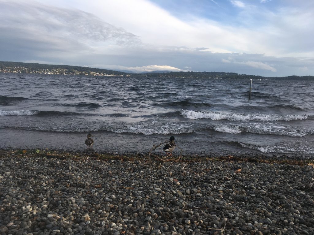 Getting Out is Worse