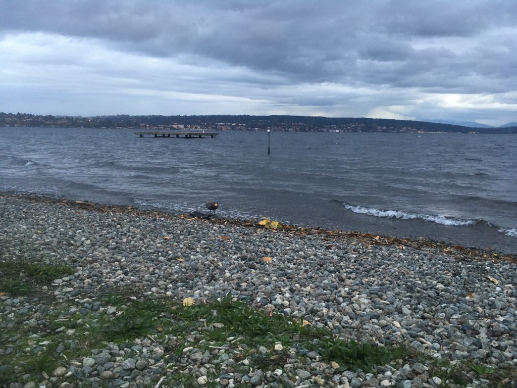 3mm Makes All The Dif The Movie