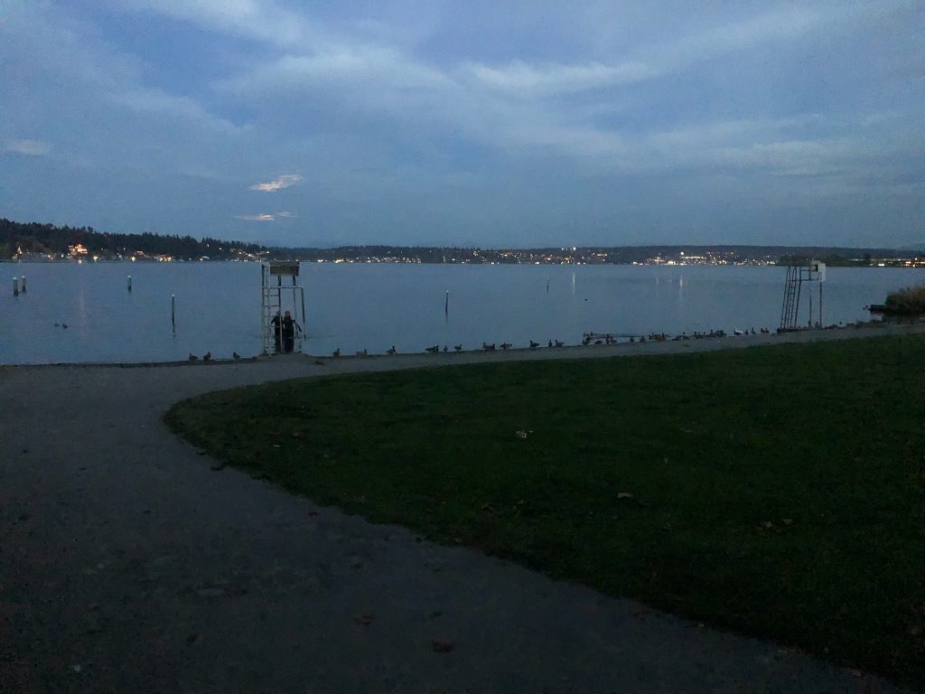 Paint It Black: 30 Pull-Ups, 10 Ducks, 12 Min