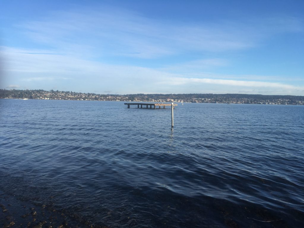 "...the Rays of the Beautiful Sun"