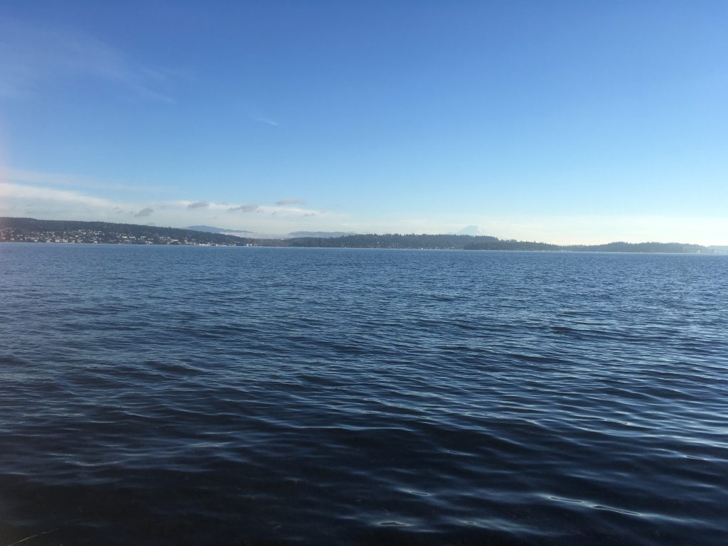 Sunny Swim with Sunbeam Magic