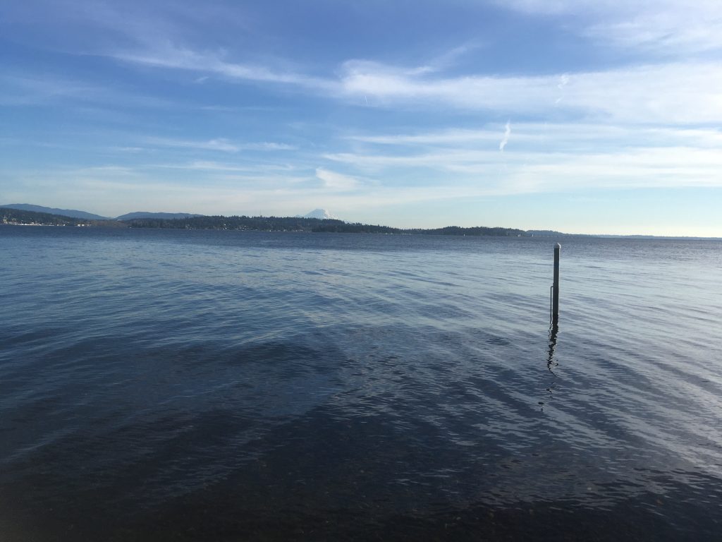 Dig If You Will This Lake and Its Magic