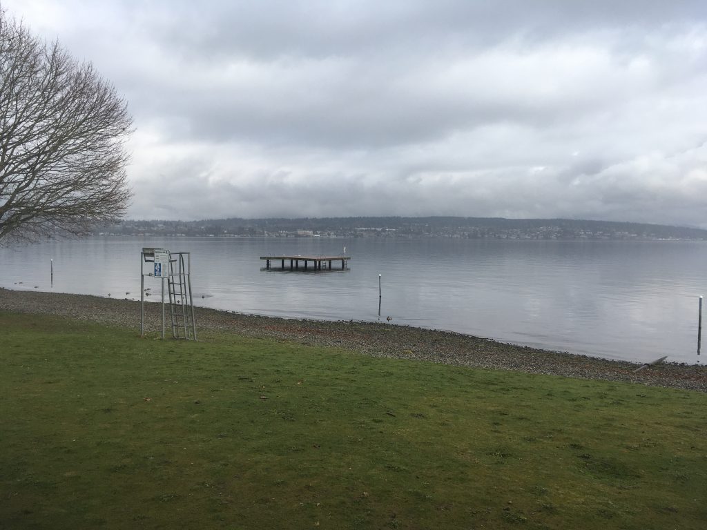 "Sing, Women" Swim Women