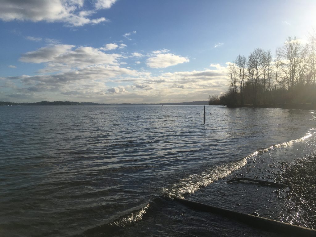 Sea Witch of the West