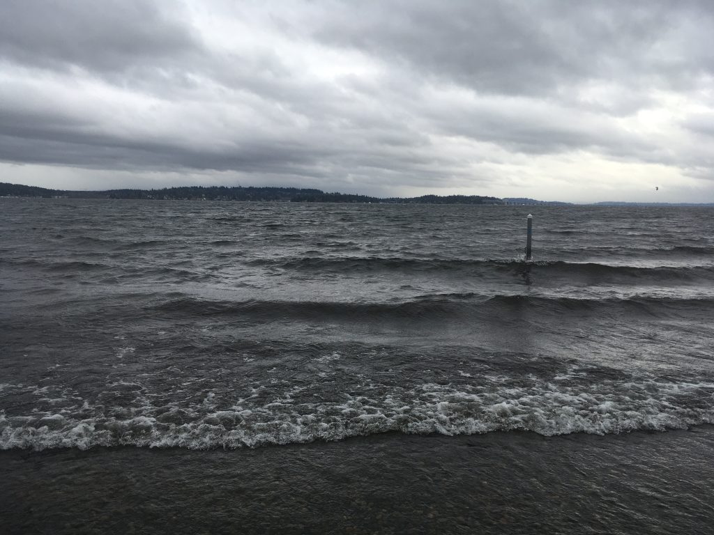 No Ducks, No Sunbeams Crashing This Party