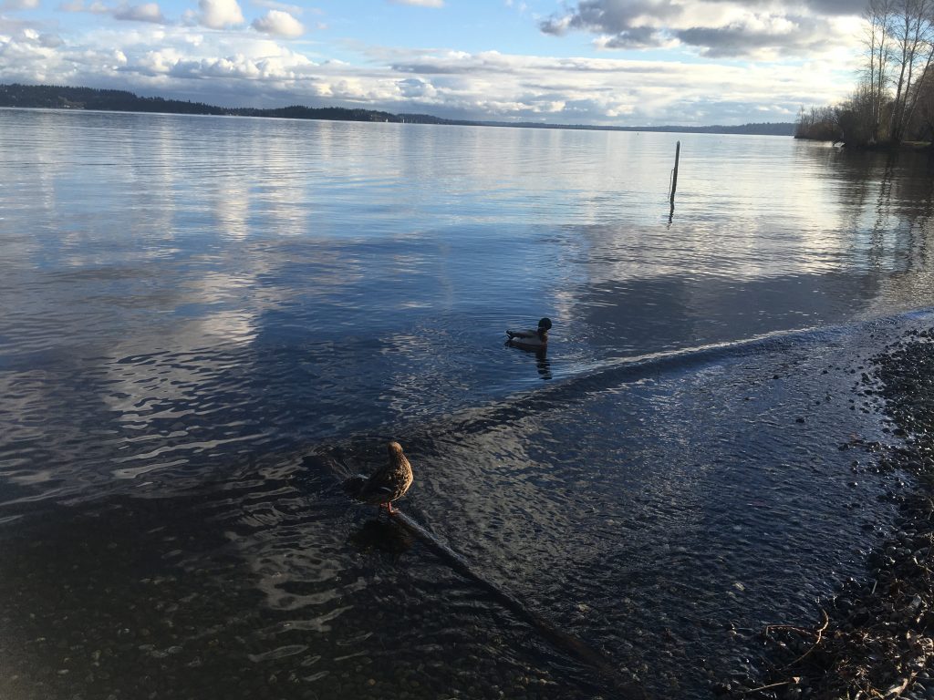 The Sun Draws Us Near