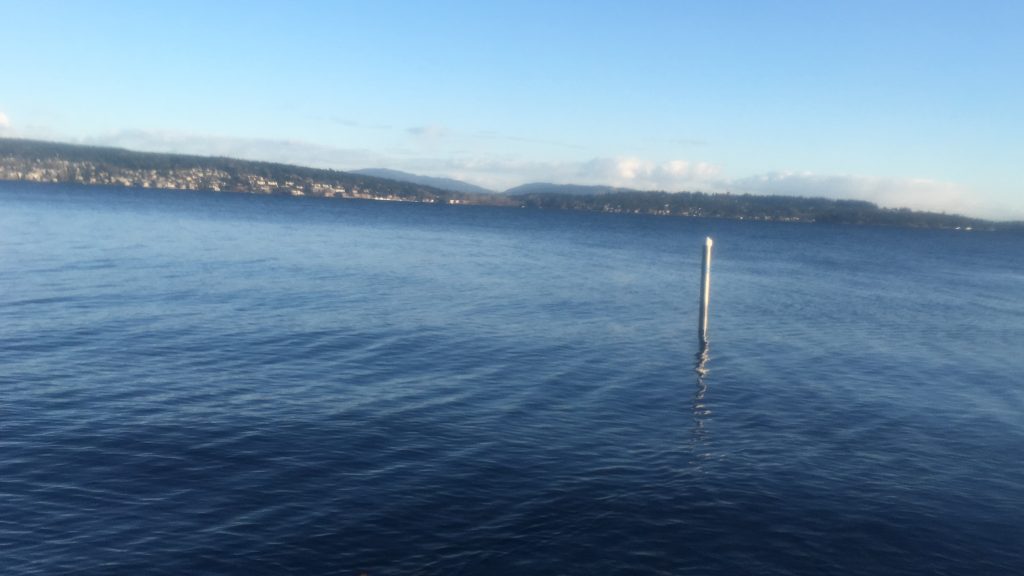 Sunbeam Tunnel Swim & Spooky Photos