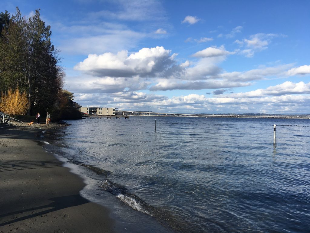 Swim with Friend and Sunbeams
