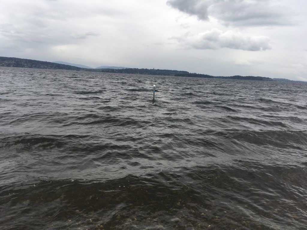 Never Mind About the Weather