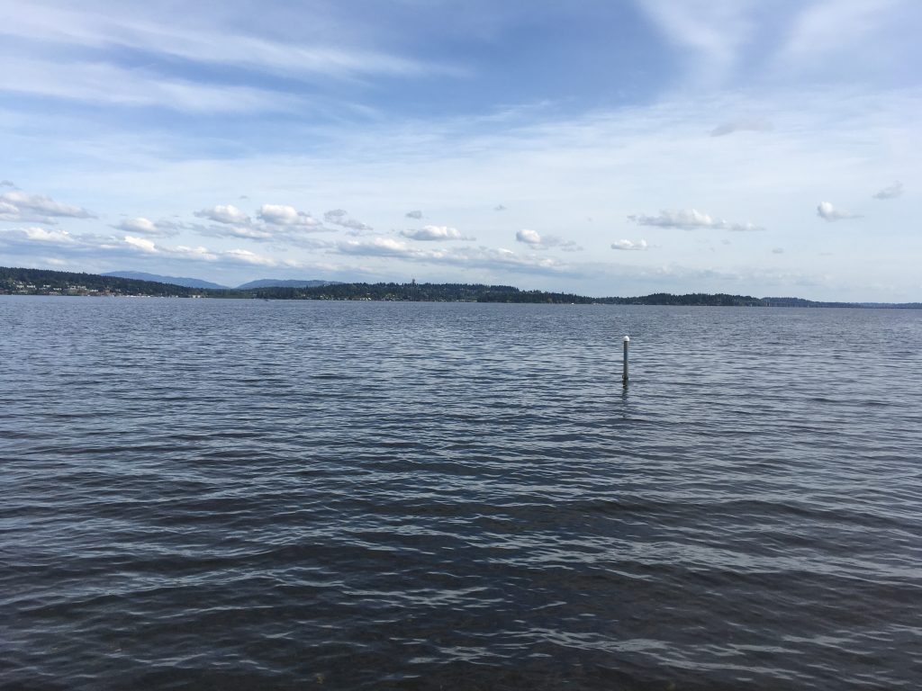 Not Bad for a Tuesday