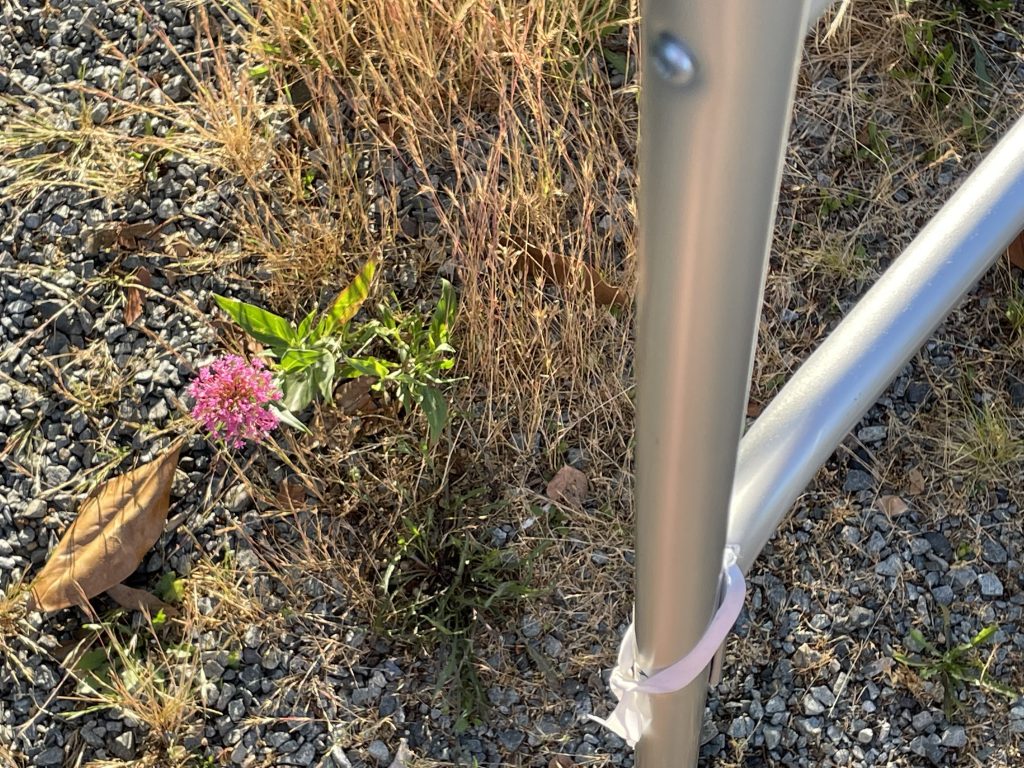 Down Time is Starting to Chafe