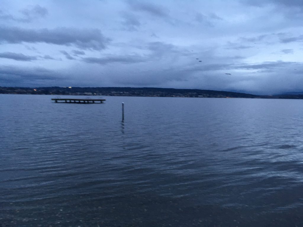 Slipped But Didn't Fall