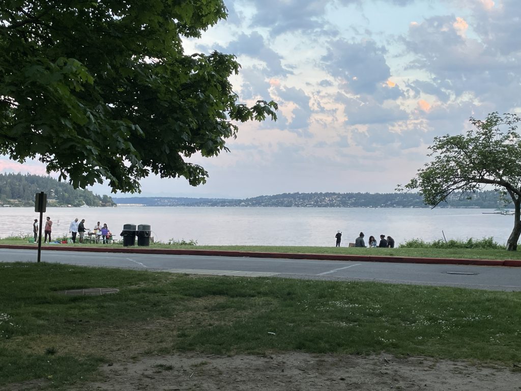 Seven Lake Witches and One Little Dead Fish