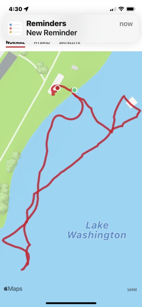 Friendly Peeps at the Park