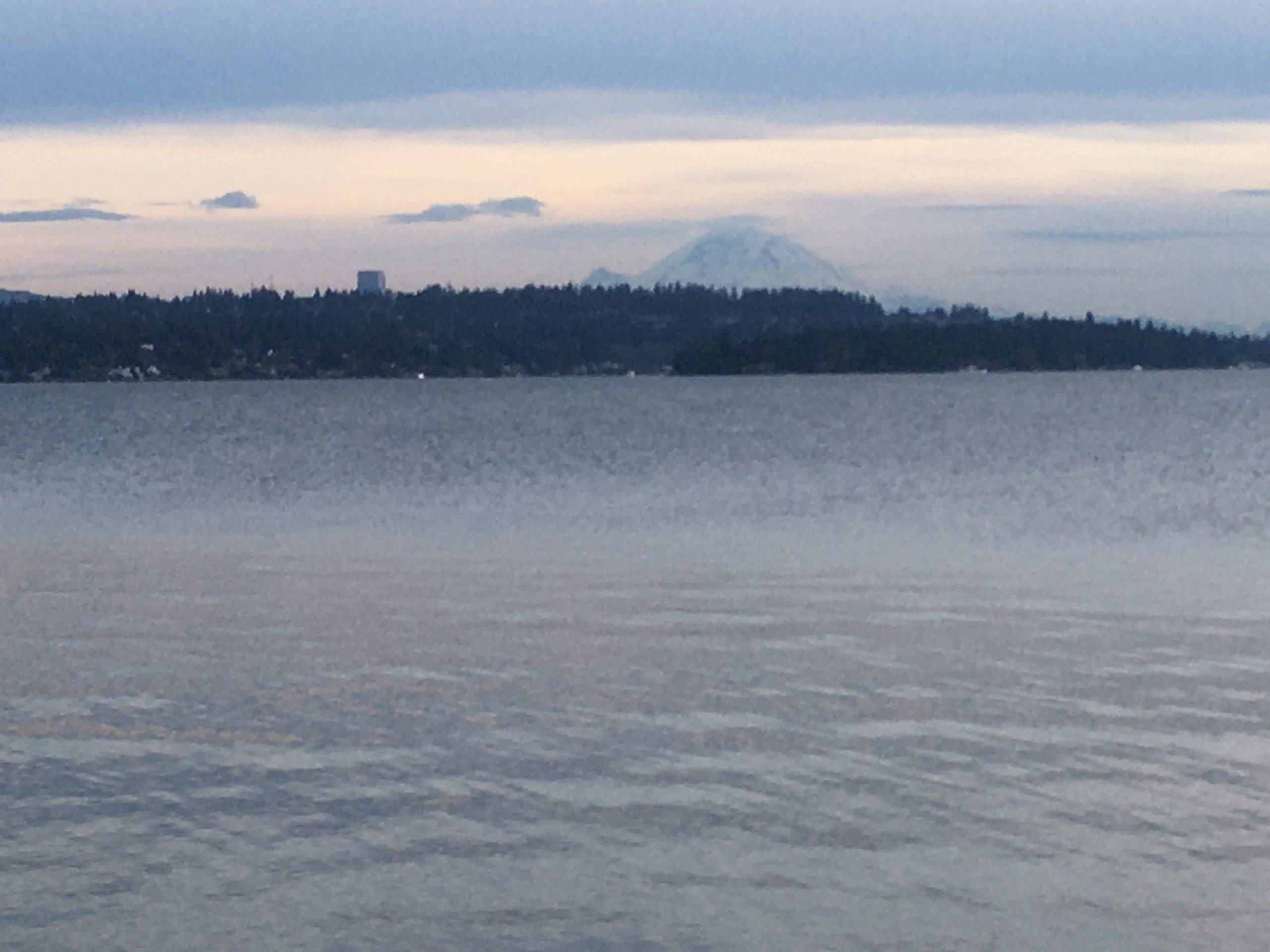 view of snow-covered mountain on the horizon. lake in the foreground.