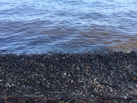 "Después de la Playa"