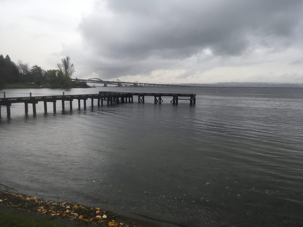 Same Lake, New Beach